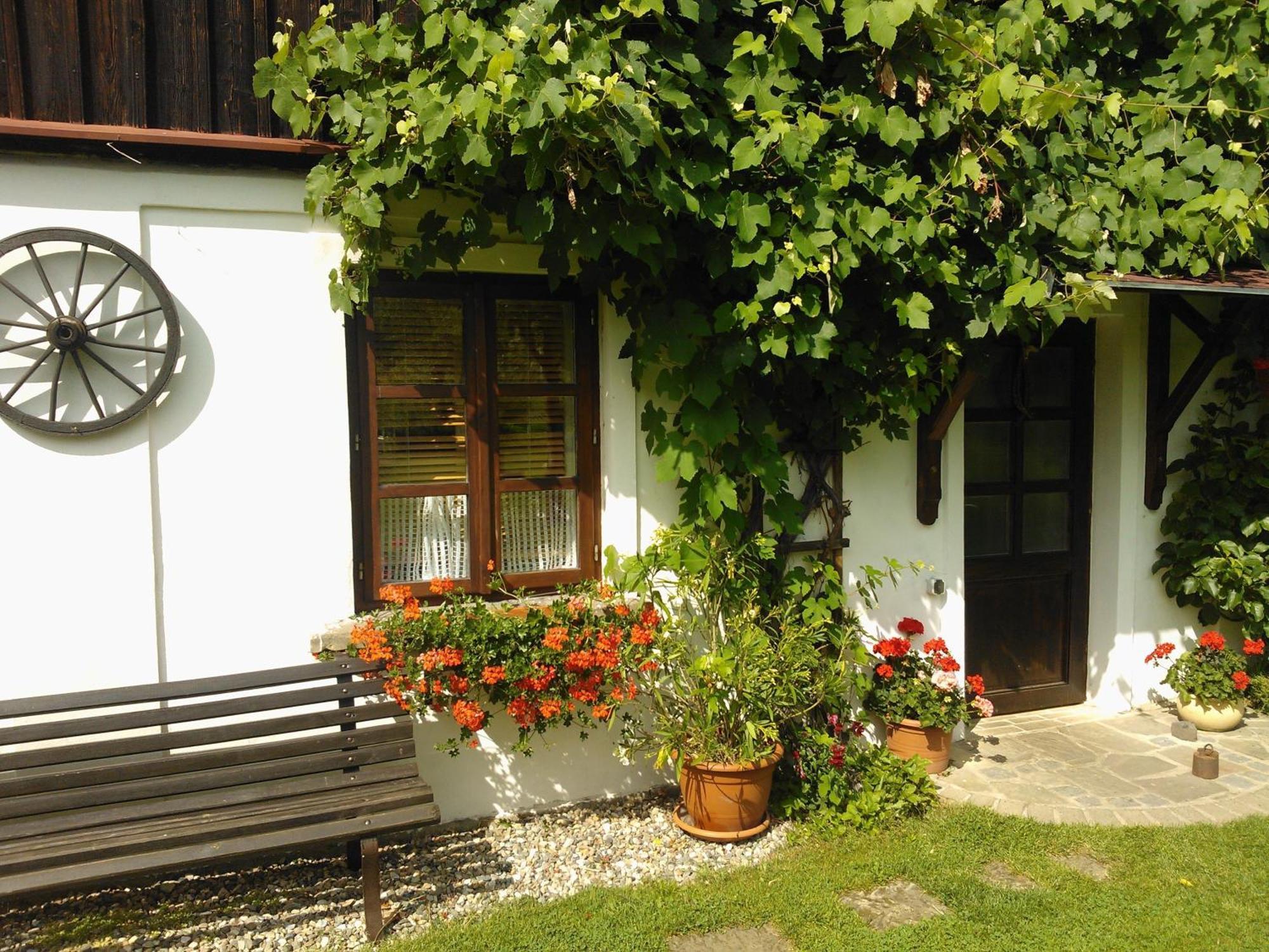 Pension Laura Chřibská Extérieur photo